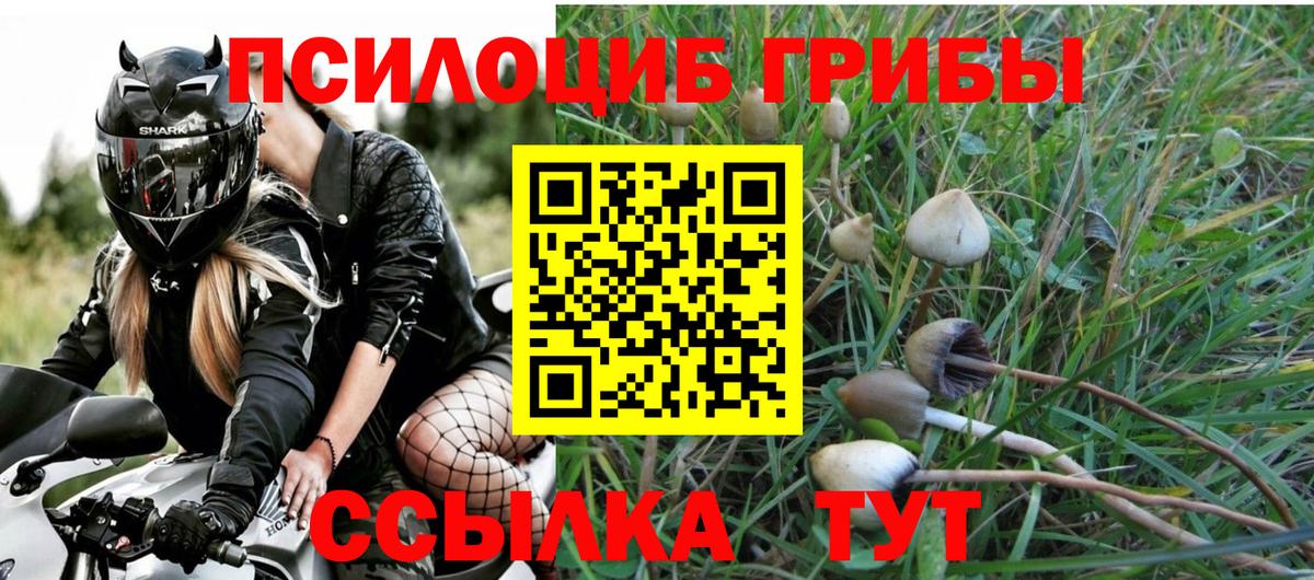 Псилоцибиновые грибы мицелий Артёмовский